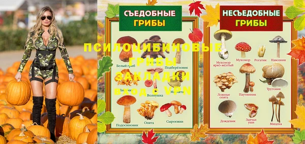 герыч Бородино