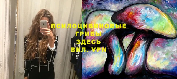 прущая мука Бронницы